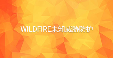 WildFire未知威胁防护