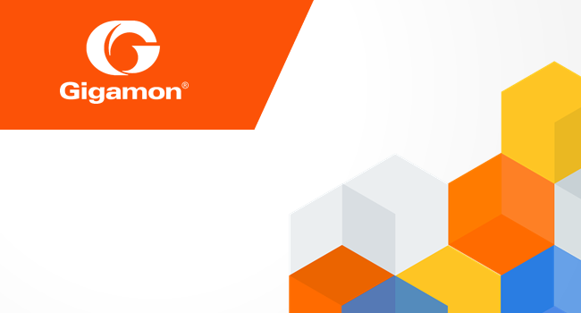 Gigamon专为数据中心流量汇聚和输出而量身定制的一款流量汇聚产品，采用了多项Gigamon独有的专利技术，能够高效的采集和管理数据中心中的网络流量，产品为模块化设计，高密度，高带宽，支持集群管理。